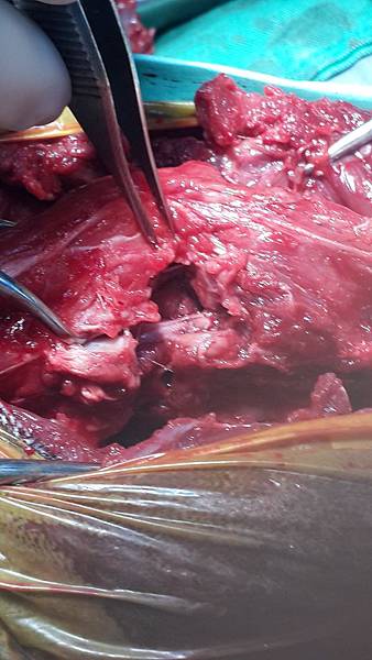 2015-05-23 17.23.42.jpg