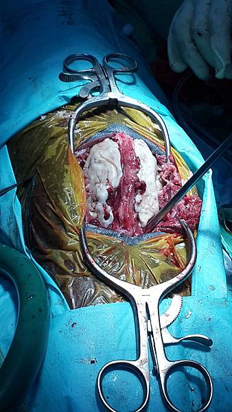 2015-05-23 17.47.14.jpg