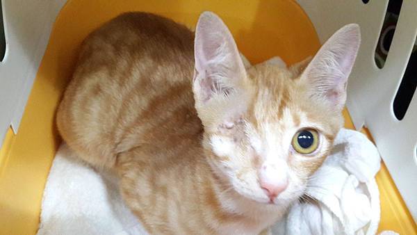 10997775_448745218628980_6588267726115729474_o.jpg 10997775_448745218628980_6588267726115729474_o.jpg