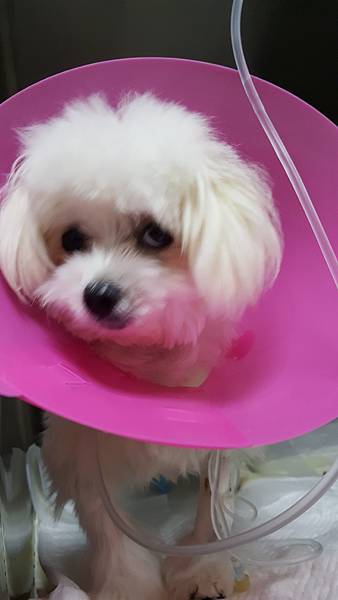 2016-01-03 18.07.40.jpg