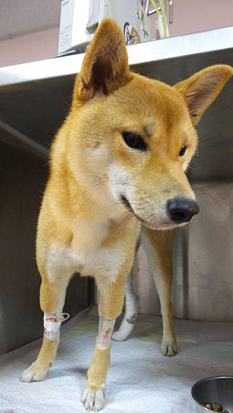 2016-02-23 16.04.29.jpg 2016-02-23 16.04.29.jpg