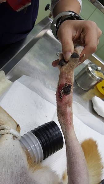 2016-02-23 16.56.57.jpg 2016-02-23 16.56.57.jpg