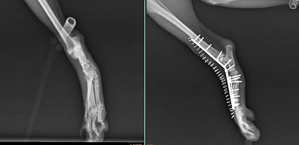 未命名.jpg 未命名.jpg