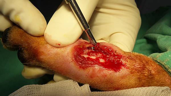 2016-02-23 17.15.21.jpg 2016-02-23 17.15.21.jpg