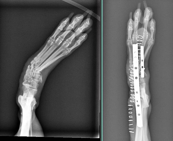 未命名1.jpg 未命名1.jpg