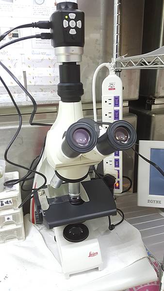 2017-06-05 14.39.12.jpg