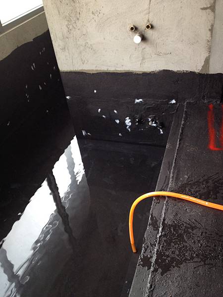 S__19709972.jpg S__19709972.jpg