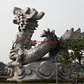 SAM_4953