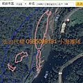 法拍代標