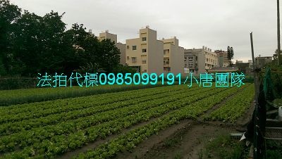 西螺法拍屋代標