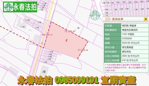 埔里法拍農地856坪西安路二段100號永春法拍 宜朋資產