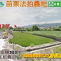 苗栗法拍公館鄉中義段1292-1號 農地303坪.jpg