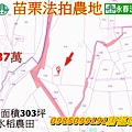 苗栗法拍公館鄉中義段1292-1號 農地303坪_永春法拍 宜朋資產.jpg