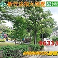 放翁清境新竹法拍屋新竹縣竹東鎮學府東路366巷88號3034大地坪永春法拍 宜朋資產