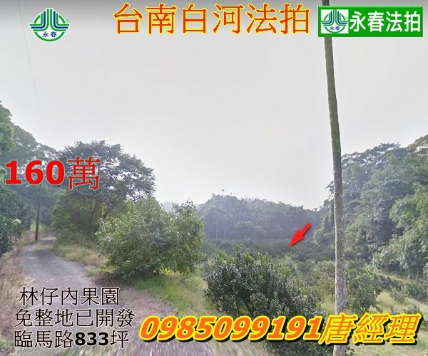 台南市白河區法拍農地果園埤子頭段五汴頭小段834.jpg