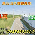 街景參考澎湖法拍馬公山水農地 近山水漁港 山水沙灘 251坪有路 永春法拍代務.jpg