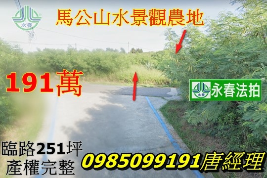 澎湖法拍馬公山水農地 近山水漁港 山水沙灘 251坪有路 永春法拍代標推薦服務.jpg
