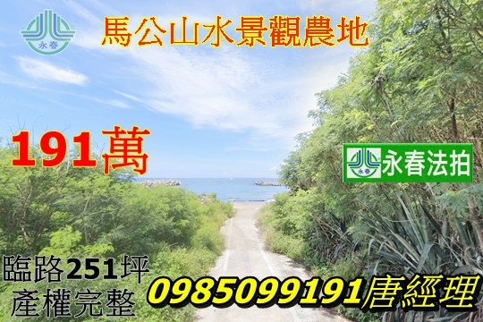 街景參考澎湖法拍馬公山水農地 近山水漁港 山水沙灘 251坪有路 永春法拍代標推薦服務.jpg