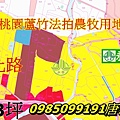 桃園蘆竹區法拍農地公溝段573坪.jpg