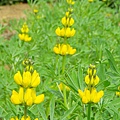 IMGP9383