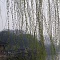 IMGP2471.JPG