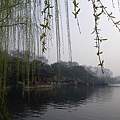 IMGP2473.JPG