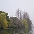 IMGP2528.JPG
