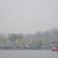 IMGP2545.JPG