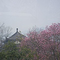 IMGP2581.JPG
