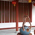 IMGP2587.JPG