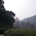 IMGP2591.JPG