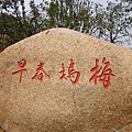 IMGP2609.JPG