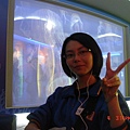 DSC08104.JPG