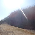 PB300629.JPG