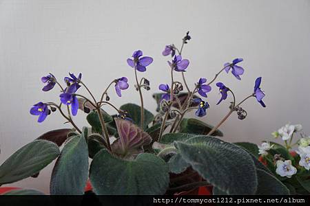 DSC04345 DSC04345
