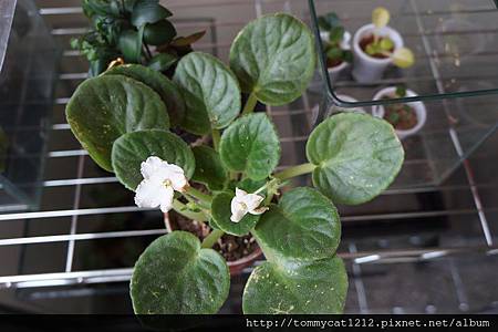 DSC04400 DSC04400
