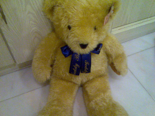 teddy (2)