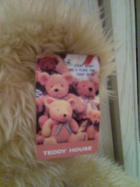teddy (3)