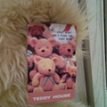 teddy (3)