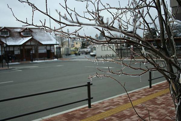 IMG_0065.JPG IMG_0065.JPG