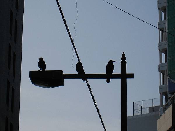 IMG_2954.jpg IMG_2954.jpg