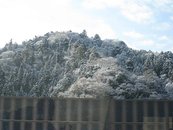 IMG_2993.jpg IMG_2993.jpg