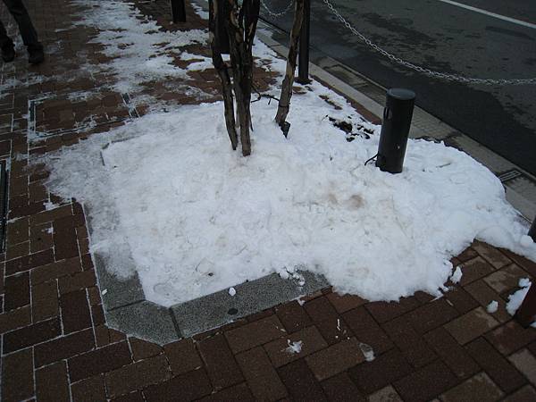 IMG_3007.jpg IMG_3007.jpg