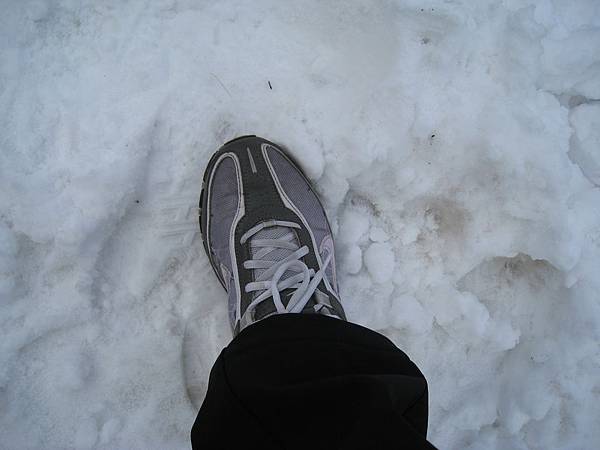 IMG_3008.jpg IMG_3008.jpg