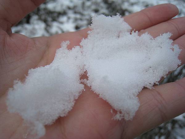 IMG_3031.jpg IMG_3031.jpg