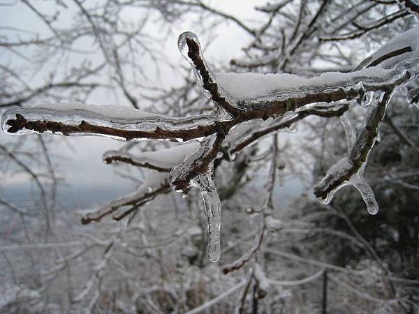 IMG_3076.jpg IMG_3076.jpg