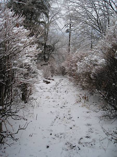 IMG_3071.jpg IMG_3071.jpg