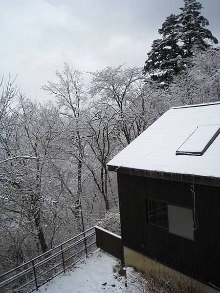 IMG_3098.jpg IMG_3098.jpg