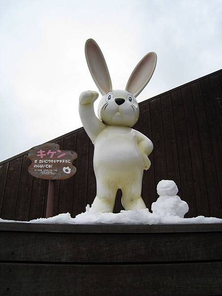 IMG_3104.jpg IMG_3104.jpg