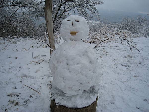 IMG_3119.jpg IMG_3119.jpg